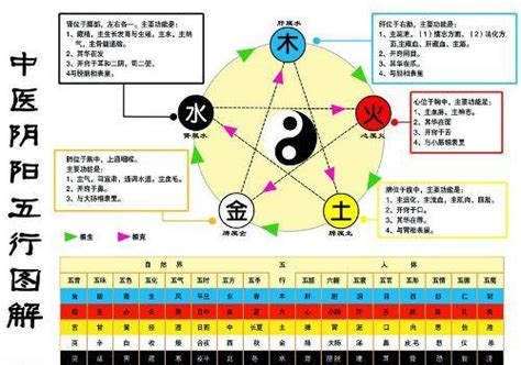 金生水起|金生水（五行对应关系）